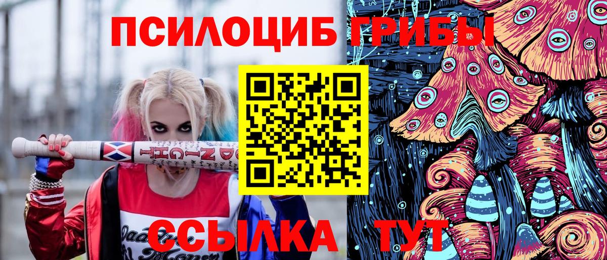 Мытищи  Галлюциногенные грибы ЛСД  Вход с VPN 